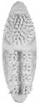 Cellule (cod. 2655)