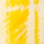 Piccolo giallo (cod. 294)